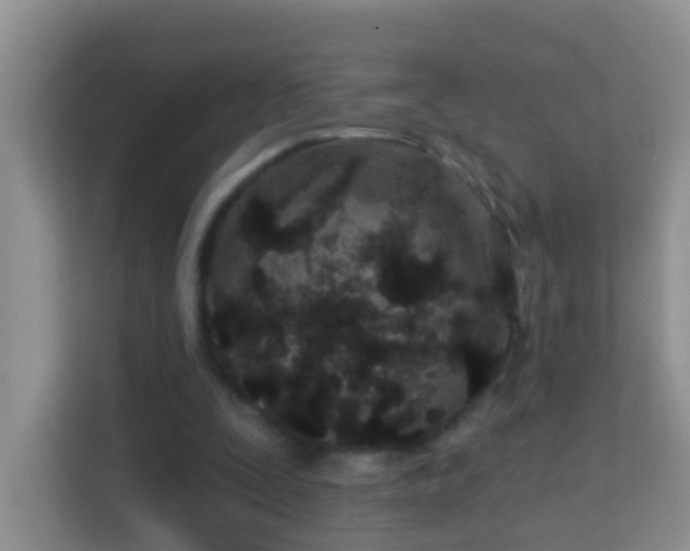 X0000114200295200910091258