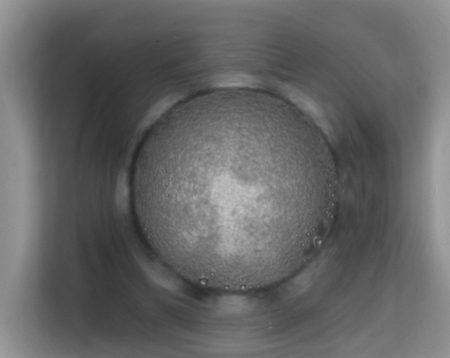 X0000114200298200910091258