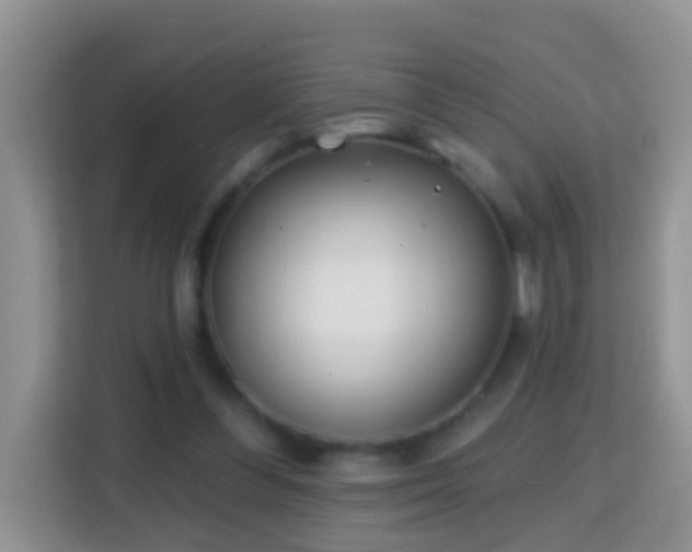 X0000114200300200910091258