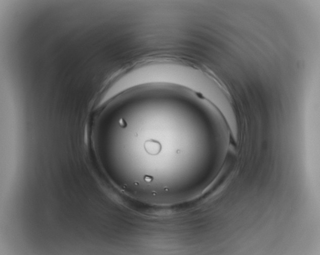 X0000114200301200910091258