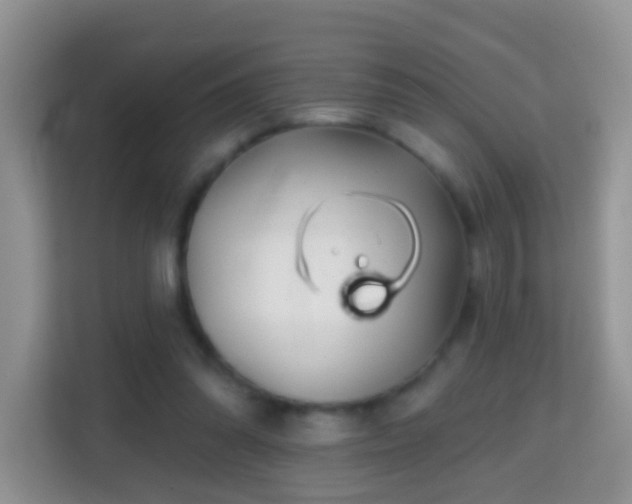 X0000114200302200910091258