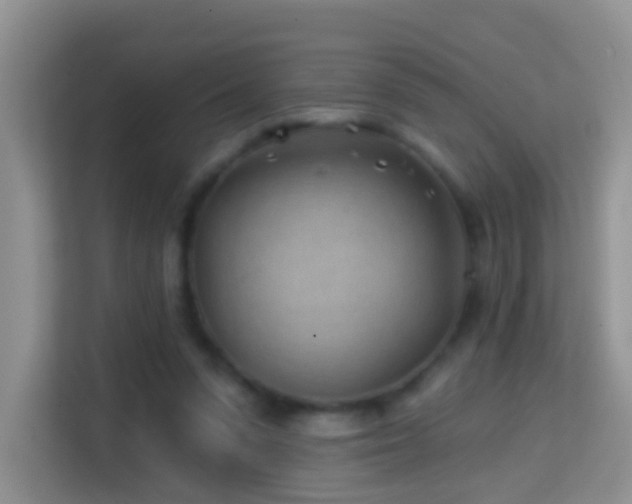 X0000114200303200910091258