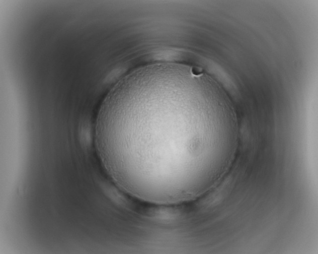 X0000114200305200910091258