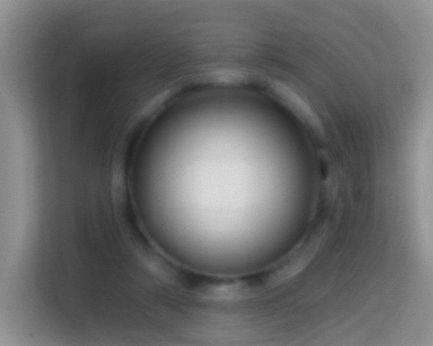 X0000114200306200910091258
