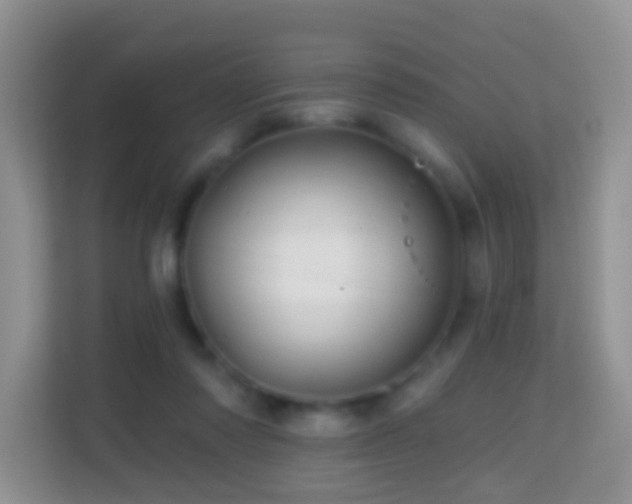 X0000114200310200910091258