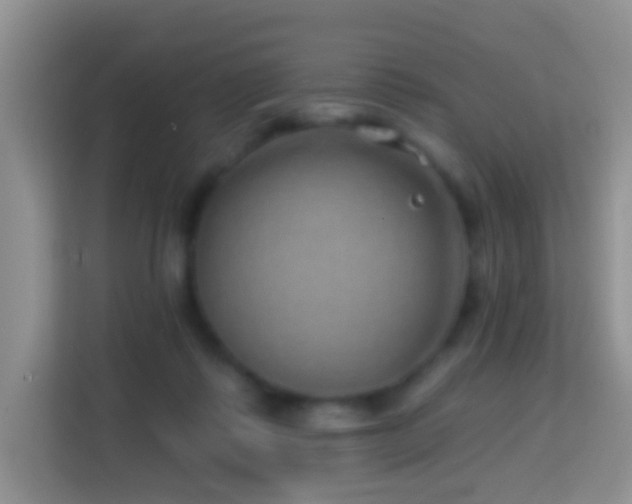 X0000114200315200910091258