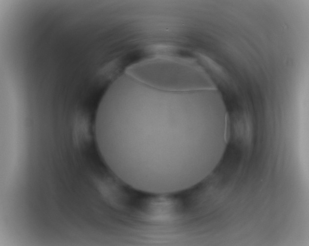 X0000114200316200910091258