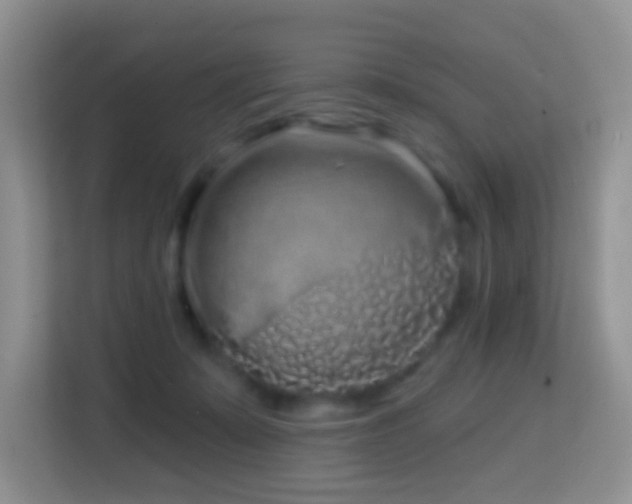 X0000114200319200910091258