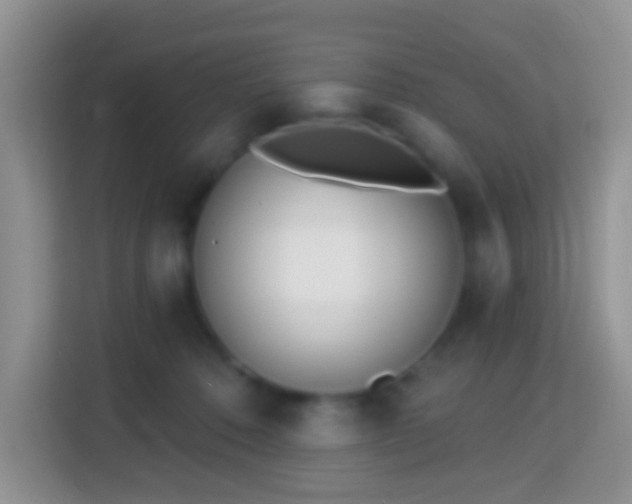 X0000114200320200910091258
