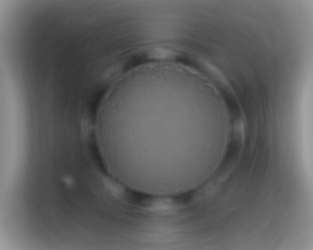 X0000114200322200910091258