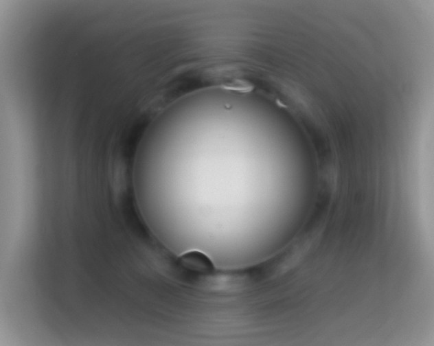 X0000114200323200910091258