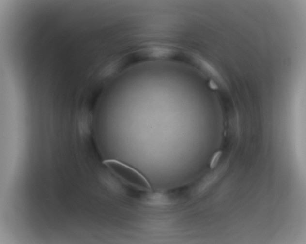 X0000114200325200910091258
