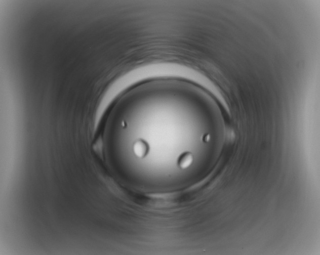X0000114200327200910091258