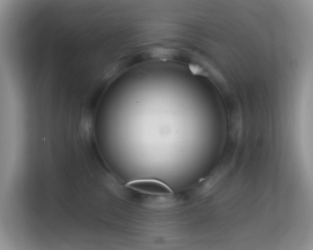 X0000114200329200910091258