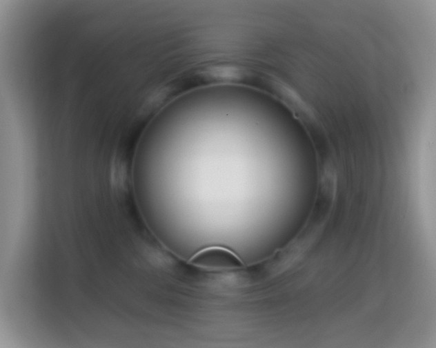 X0000114200330200910091258