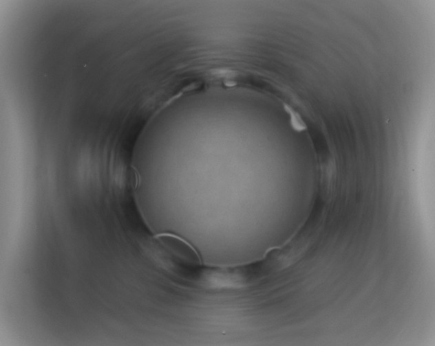 X0000114200331200910091258