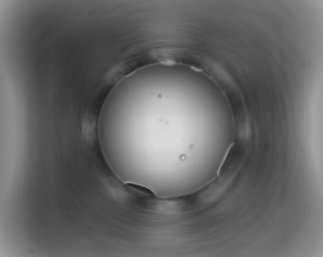X0000114200332200910091258