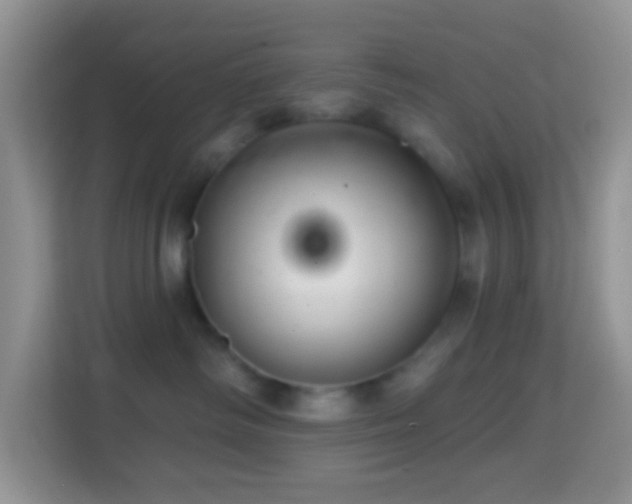 X0000114200334200910091258