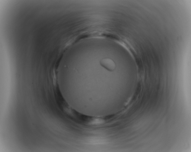 X0000114200335200910091258