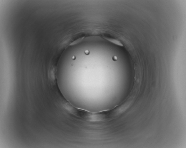 X0000114200336200910091258