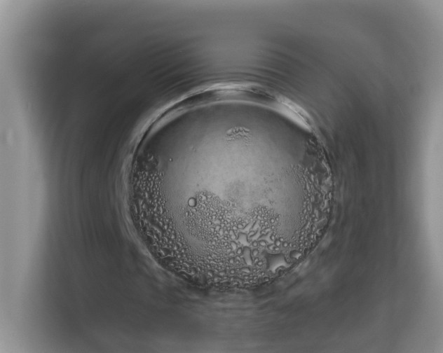 X0000114200337200910091257
