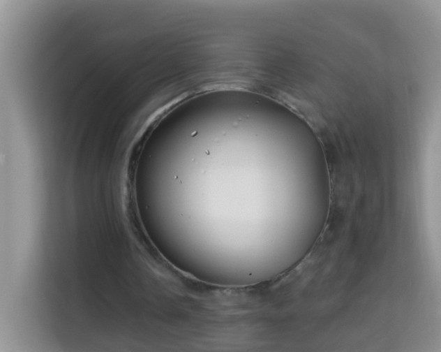 X0000114200338200910091257