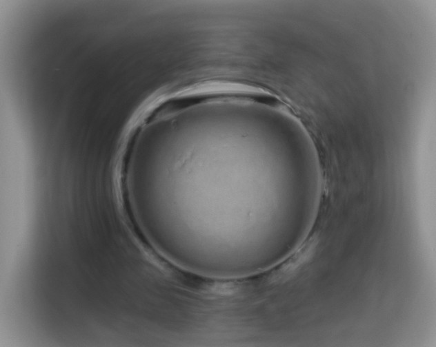X0000114200341200910091257