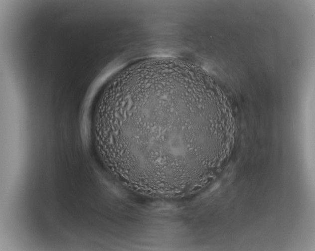 X0000114200343200910091257