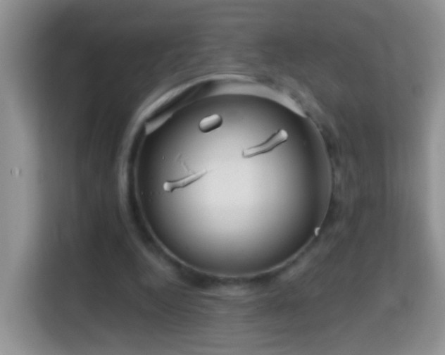 X0000114200344200910091257