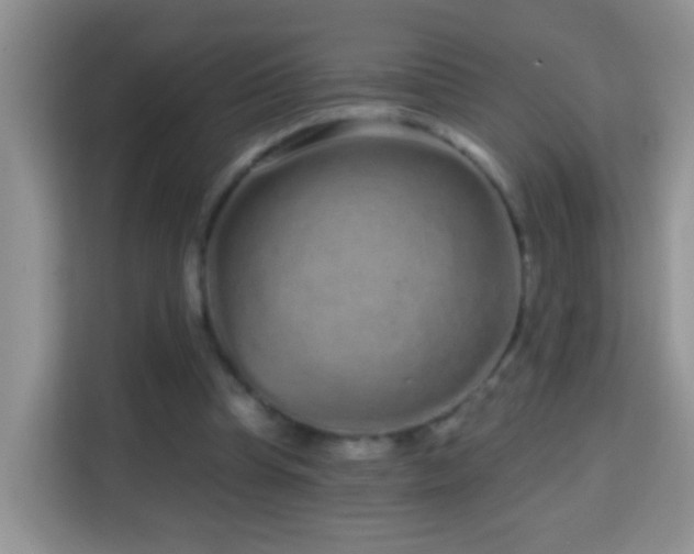 X0000114200345200910091257