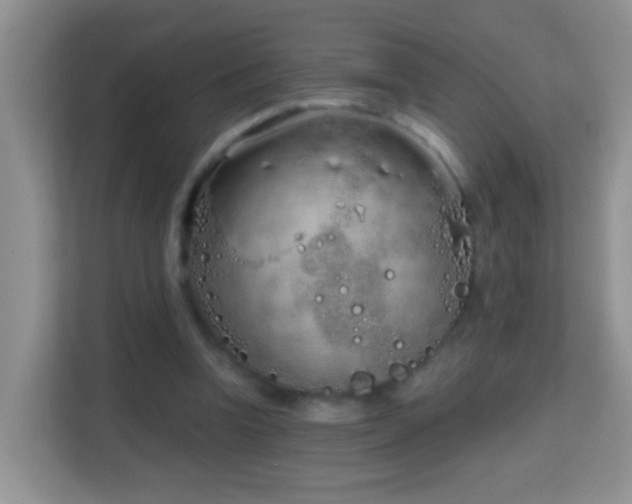 X0000114200346200910091257