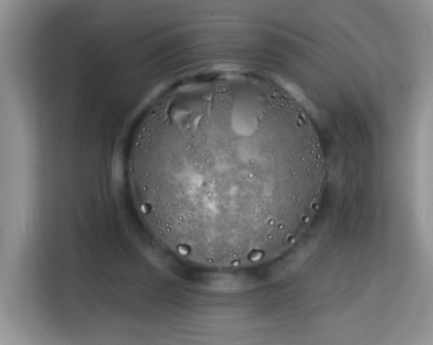 X0000114200347200910091257