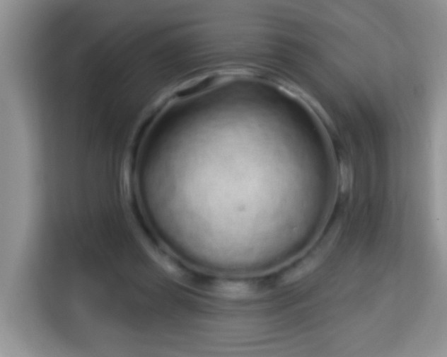 X0000114200349200910091257