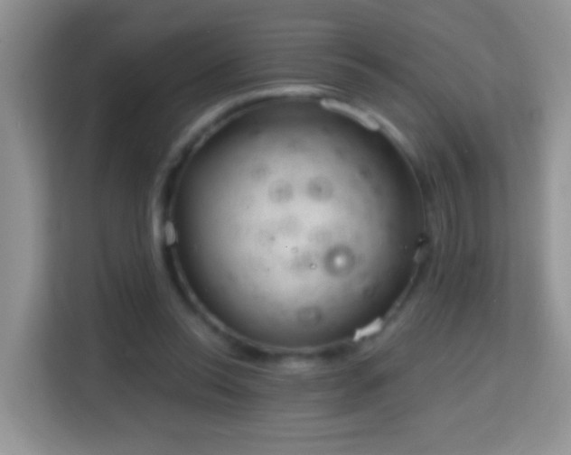 X0000114200350200910091257