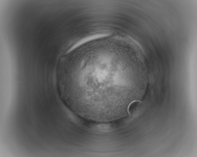 X0000114200353200910091257