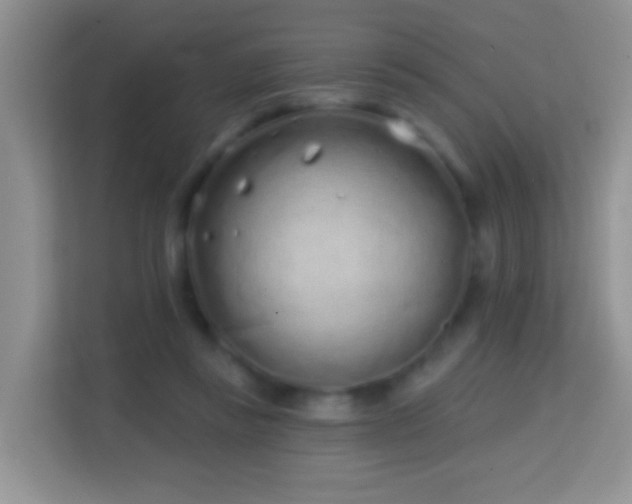 X0000114200355200910091257