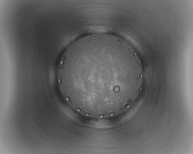 X0000114200359200910091257