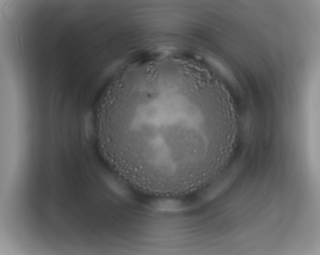 X0000114200361200910091257