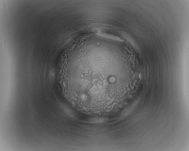 X0000114200363200910091257