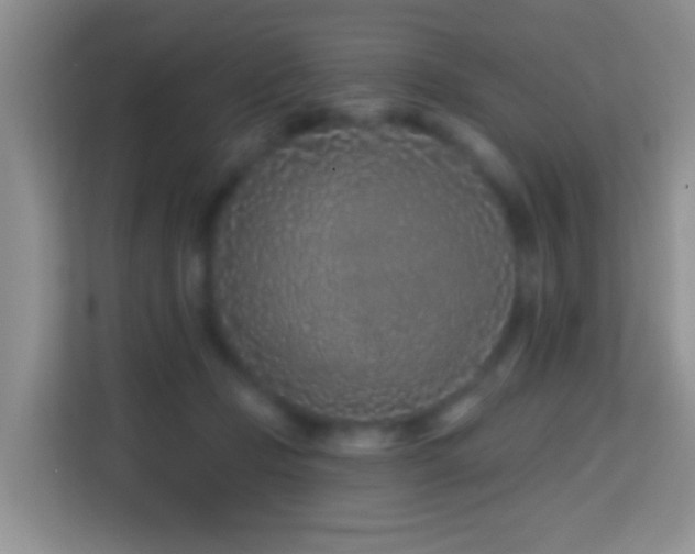 X0000114200365200910091257