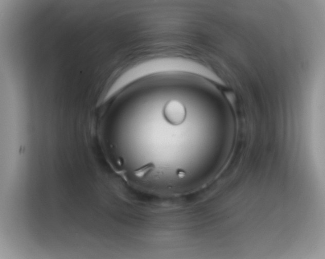 X0000114200368200910091257