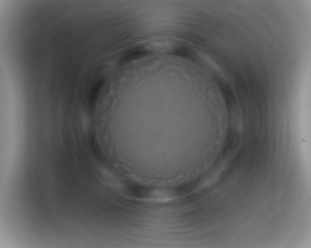 X0000114200371200910091257