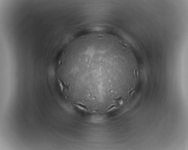 X0000114200373200910091257