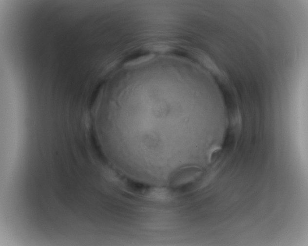X0000114200374200910091257