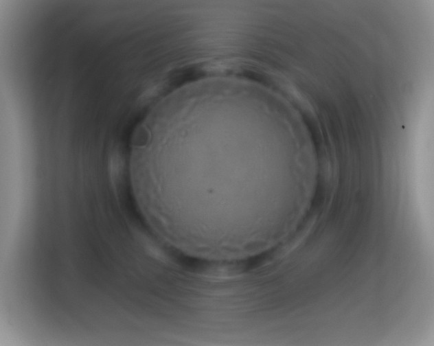 X0000114200375200910091257