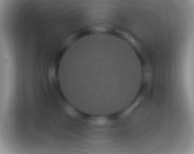 X0000114200377200910091257