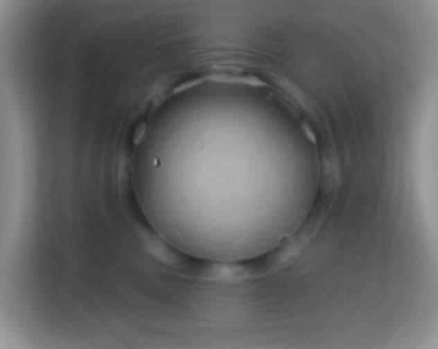 X0000114200379200910091258