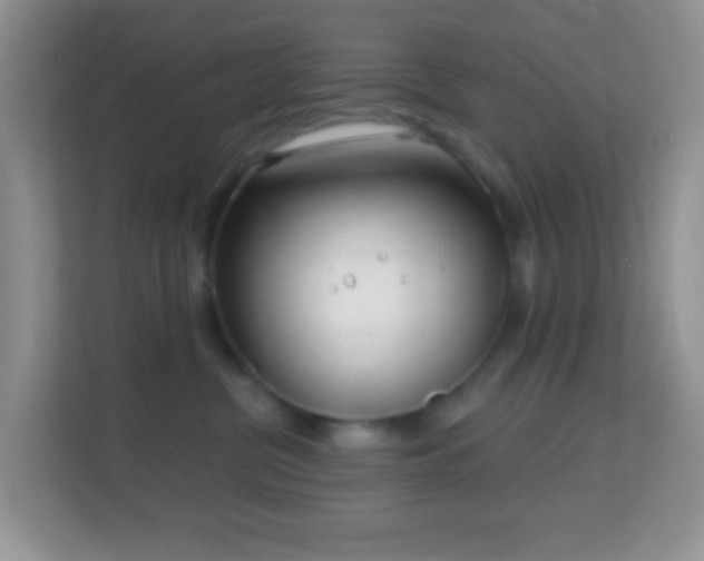 X0000114200380200910091258