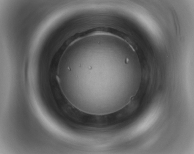 X0000114200383200910091258