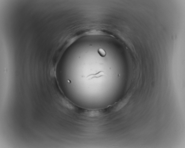 X0000114200384200910091258